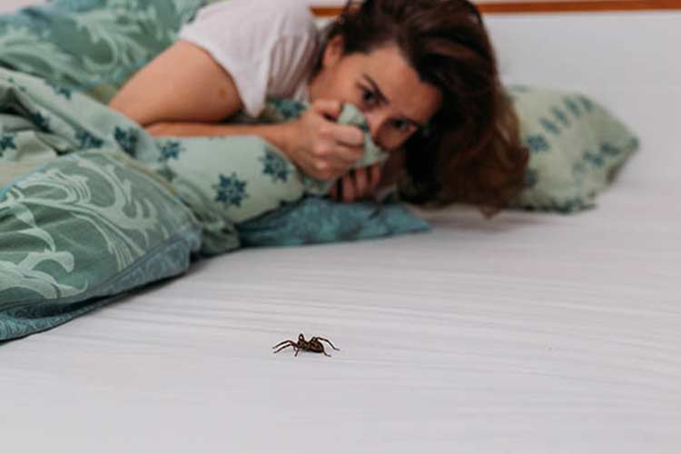 ترس از حشرات