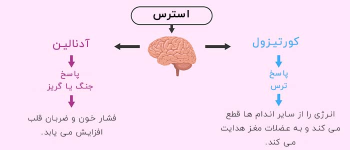 هورمون های استرس
