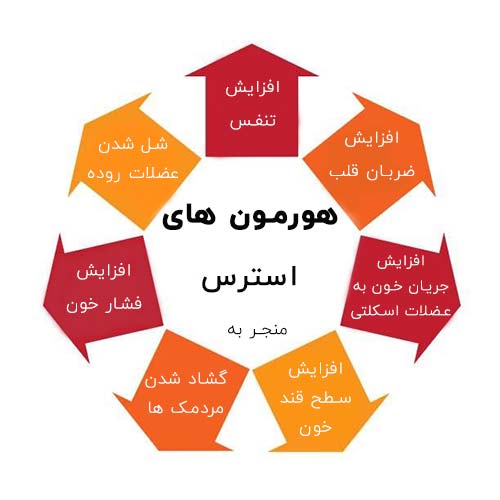 هورمون های استرس